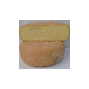 mixte vache brebis