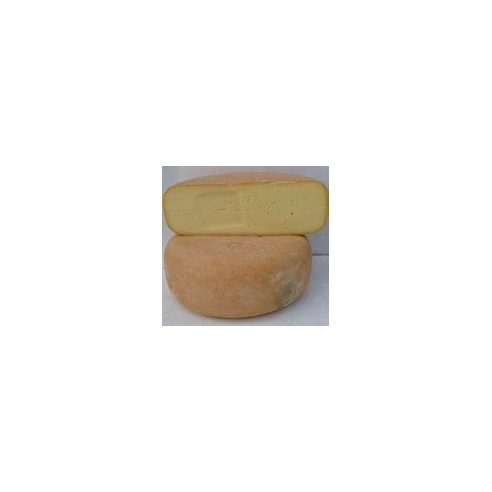 mixte vache brebis