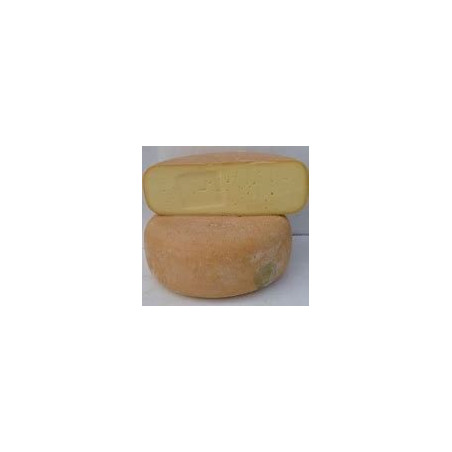 mixte vache brebis