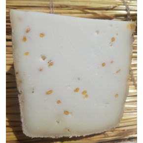 Brebis fenugrec Baechler La Cloche du Fromager 2