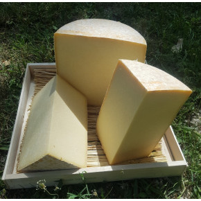 Petit Cantalait La Cloche du Fromager