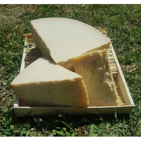 PARMESAN REGIANO Parmigiano Reggiano'