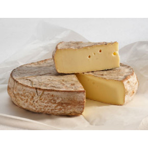 SAINT NECTAIRE AOP FERMIER 2