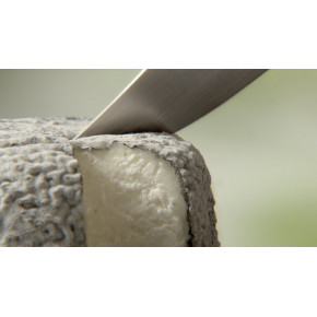 CROTTIN FERMIER DE BREBIS CENDRE AU LAIT CRU LA CLOCHE DU FROMAGER
