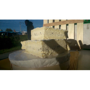 brie truffé