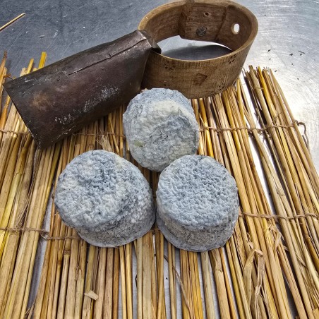 Crottin de Sainte-Maure