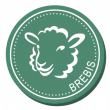 Fromage de Brebis